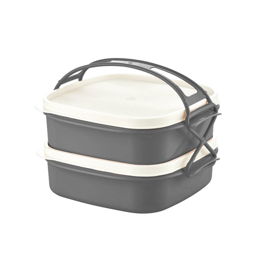 2st Tetra Lunchbox - Med hållare